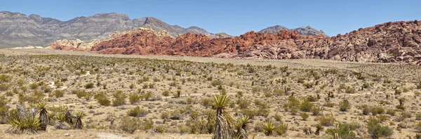 Red rock canyon las vegas nv. — Stockfoto