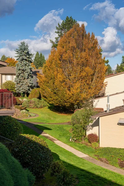 Paisagem Quintal Cores Outono Gresham Oregon — Fotografia de Stock