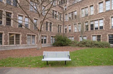 Washington Üniversitesi 'nin Seattle' daki mimarisi ve avluda tek bir bank.
