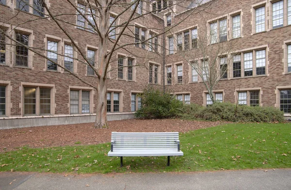 华盛顿大学西雅图分校的建筑和一个院子里的长椅 — 图库照片