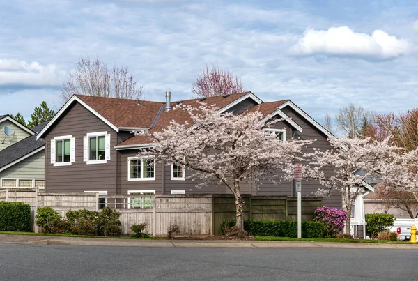 Kent Washington State Neighborhood Spring Blooms Homes — Stock Photo, Image