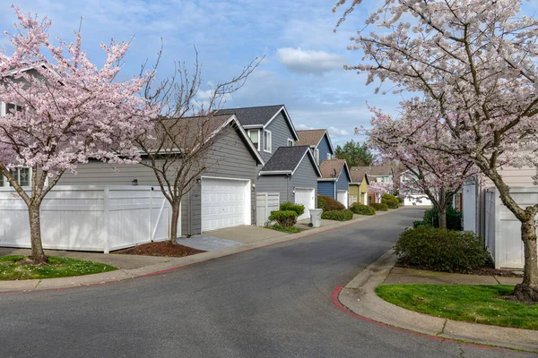 Kent Washington Staat Buurt Lente Bloeit Huizen Voertuigen Geparkeerd — Stockfoto