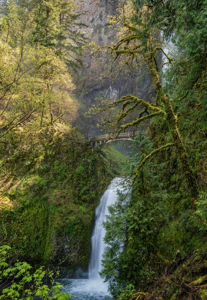 Multnomah Falls State Park Oregon State — ストック写真