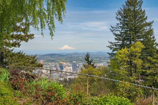 Vista Del Monte Hood Ciudad Portland Oregon Desde Pittock Mansion — Foto de Stock