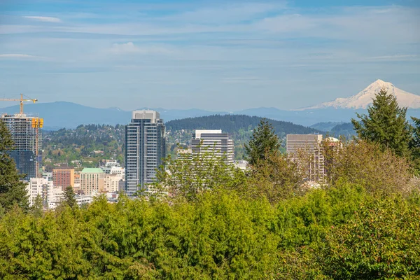 Vista Del Monte Hood Ciudad Portland Oregon Desde Washington Park —  Fotos de Stock