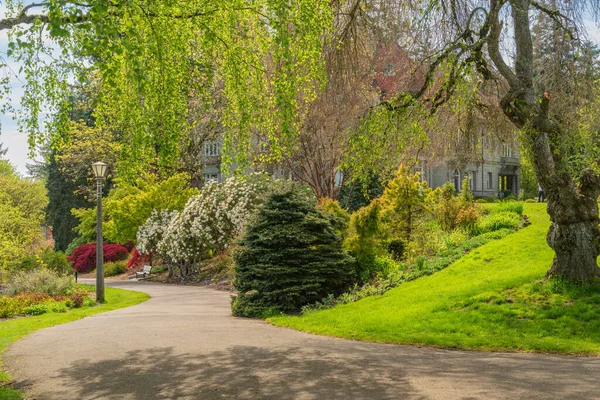 Garden View Path Pittock Mansion Oregon State — Foto de Stock