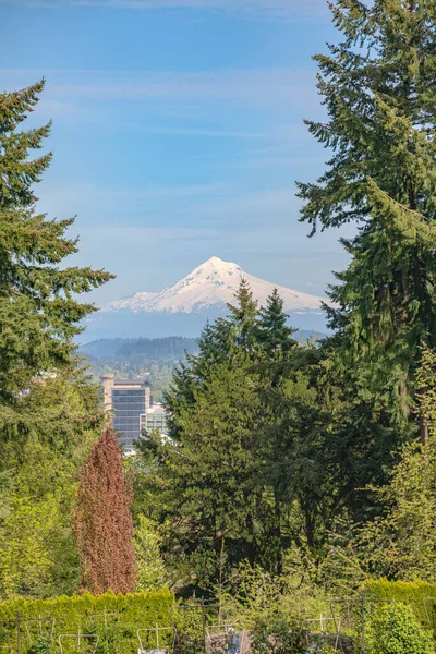 Vista Del Monte Hood Ciudad Portland Oregon Desde Washington Park —  Fotos de Stock