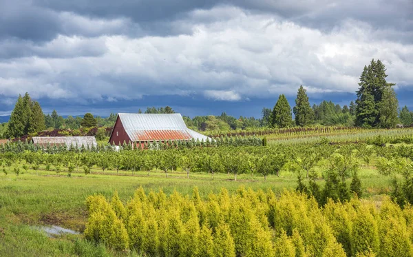 Landelijk Landschap Stormachtig Weer Velden Oregon Staat — Stockfoto