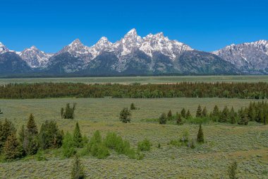 Tetons 'un Wyoming' deki manzarası ve bakış açısı.
