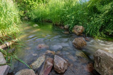 Cherry Spring Parkı ve sabah vakti Idaho eyaleti..