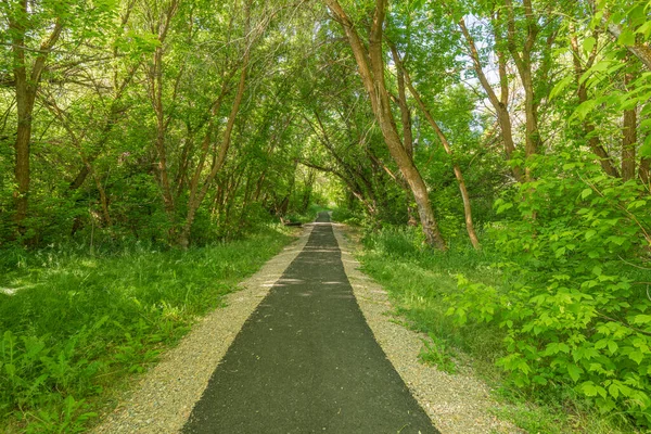 Cherry Spring Park Deserto Nella Luce Del Mattino Stato Dell — Foto Stock