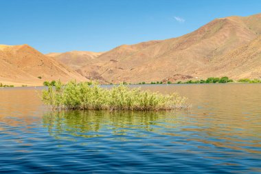 Doğu Oregon 'da göl ve bitki örtüsü.