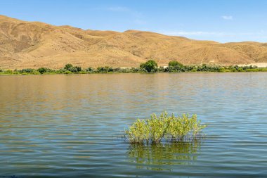 Doğu Oregon 'da göl ve bitki örtüsü. 