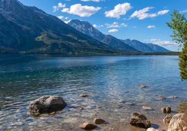 Jenny Lake ve teton dağlarının vahşi doğası. 
