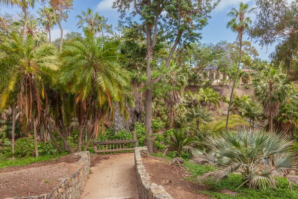 Parque Balboa Jardines Tropicales Bosques San Diego California — Foto de Stock