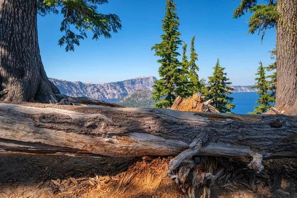 Crater Lake Surrounding Nature Oregon State — Foto de Stock