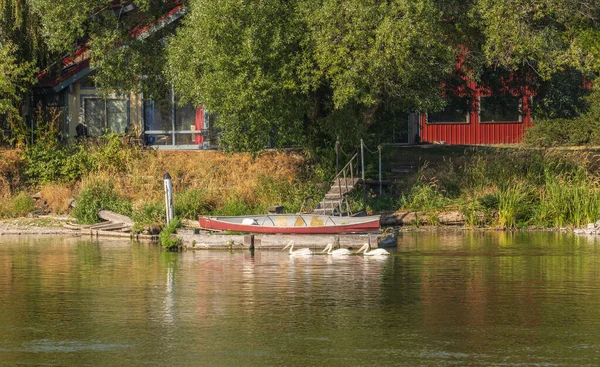 Pelican Marina Neighborhood Homes Lake Klamath Falls Oregon — Stockfoto