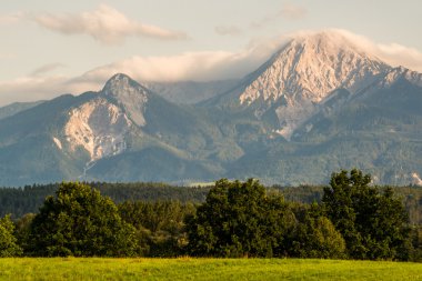 carinthia içinde kepa