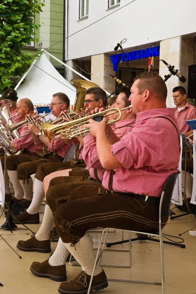 Traditionelle Musiker — Stockfoto