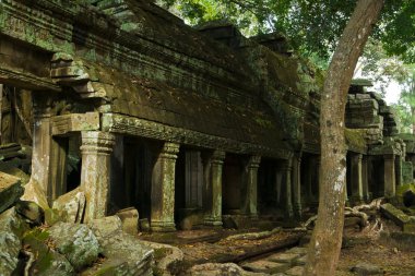 mistik ta prohm