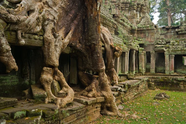 Templo de Preah Khan — Foto de Stock