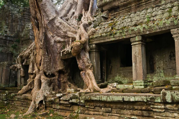 Preah Khan Temple — Stock Photo, Image