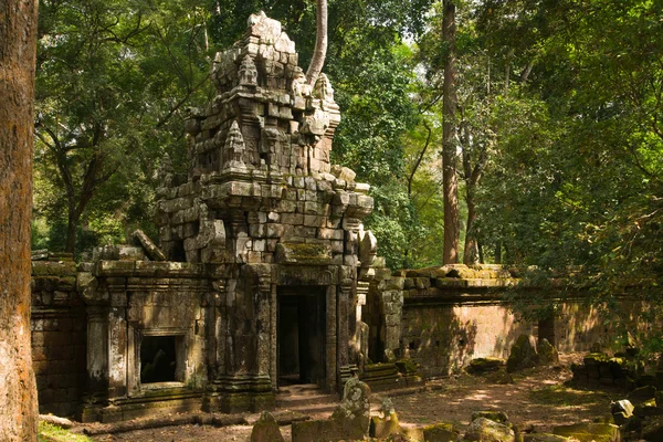 Jungle Temple Stock Photos Royalty Free Jungle Temple Images Depositphotos