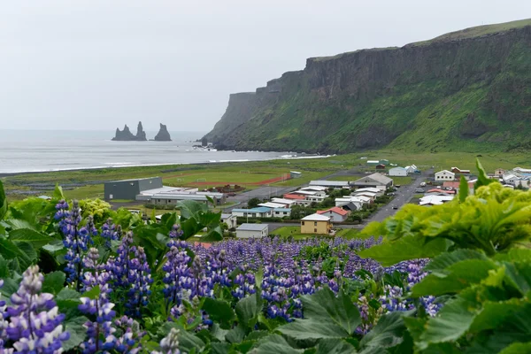 Το Ισλανδικό πόλη vik Royalty Free Εικόνες Αρχείου