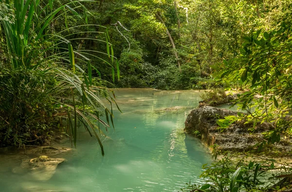 Piccola piscina nella giungla — Foto Stock