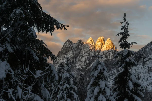 Sunset Julian Alps Snow Covered Mountains Tress Last Beams Sunlight — Stock fotografie