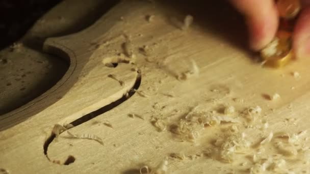 Luthier Working Raw Wood Violin Plate Finger Plane Bench Workshop — Stock Video