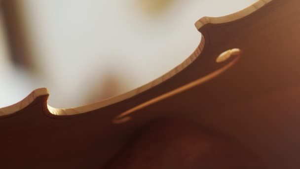 Liutaio Che Taglia Sega Buchi Modello Violino Cremonese Dorato Con — Video Stock