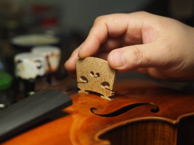 Zanaatkar, oyunculuk, ton ve yapısal bütünlük için keman, viyola veya çello köprüsü yerleştiriyor.