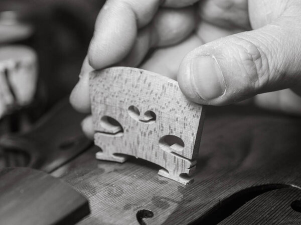 artisan placing the violin, viola, or cello bridge for playability, tone, and structural integrity