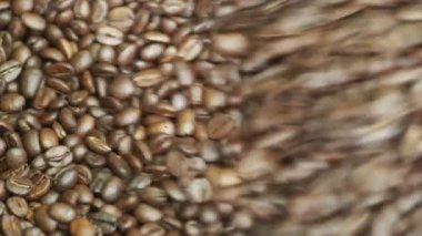 Kahverengi kahve çekirdekleri yakın plan.