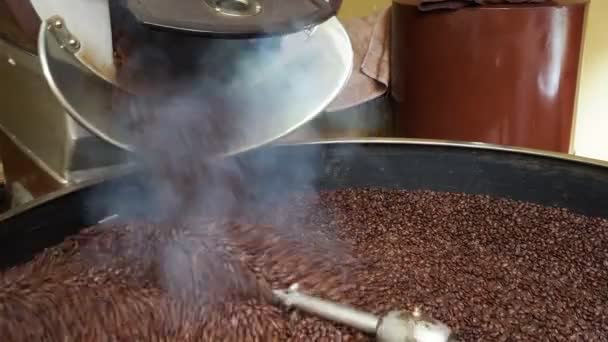 Καφέ Καβουρδισμένοι Κόκκοι Καφέ — Αρχείο Βίντεο