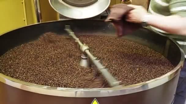 Braune Geröstete Kaffeebohnen Makro Nahaufnahme — Stockvideo