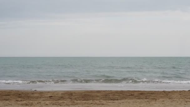 Ondas Relaxantes Praia Brussa Veneto Itália Vallevecchia Parque Natural — Vídeo de Stock