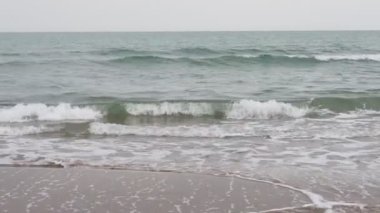 Plajdaki dalgaları dinlendirmek, La Hughsa, Veneto, İtalya, Vallevecchia doğal parkı