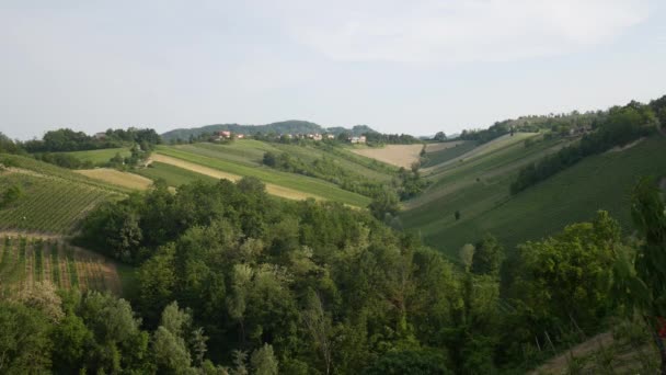 Valdarda Gunung Kota Dan Kebun Anggur Emilia Romagna — Stok Video