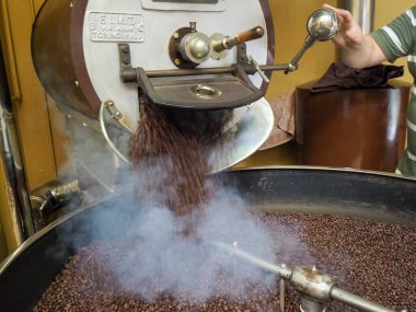 Kosta Rika 'daki biyolojik etik tarımdan çiğ yeşil kahve çekirdekleri İtalya' daki Denti Torrefazione 'de kızartıldı.