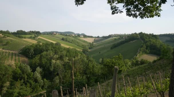 Valdarda Ciudad Montaña Viñedos Emilia Romaña — Vídeos de Stock