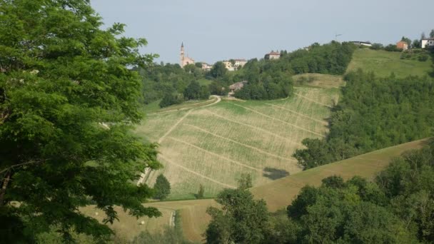 Valdarda Gunung Kota Dan Kebun Anggur Emilia Romagna — Stok Video