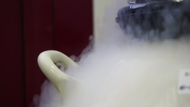 Use Liquid Nitrogen Genetic Field Lab — Stock Video