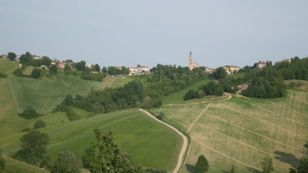 Valdarda Ορεινή Πόλη Και Αμπελώνες Στην Emilia Romagna — Αρχείο Βίντεο