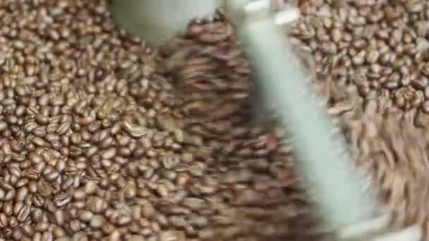 Bruine Gebrande Koffiebonen Macro Close — Stockvideo