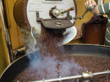 Kosta Rika 'daki biyolojik etik tarımdan çiğ yeşil kahve çekirdekleri İtalya' daki Denti Torrefazione 'de kızartıldı.