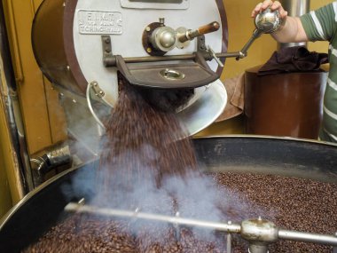 Kosta Rika 'daki biyolojik etik tarımdan çiğ yeşil kahve çekirdekleri İtalya' daki Denti Torrefazione 'de kızartıldı.