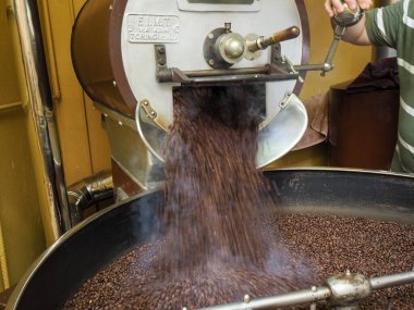 Kosta Rika 'daki biyolojik etik tarımdan çiğ yeşil kahve çekirdekleri İtalya' daki Denti Torrefazione 'de kızartıldı.