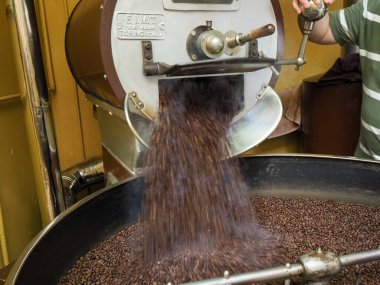 Kosta Rika 'daki biyolojik etik tarımdan çiğ yeşil kahve çekirdekleri İtalya' daki Denti Torrefazione 'de kızartıldı.